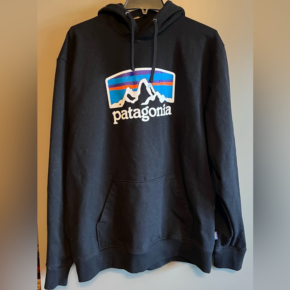 Patagonia Hoodie